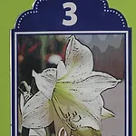 La Flor De Al-andalus بيت ضيافة