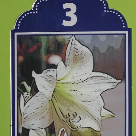 La Flor De Al-andalus Maison d'hôtes