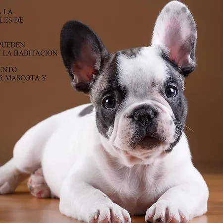 La Flor De Al-andalus * Mérida