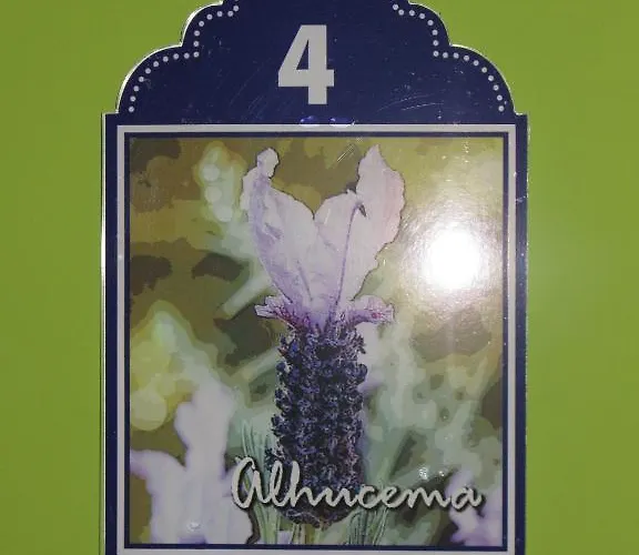 Casa de hóspedes La Flor De Al-andalus