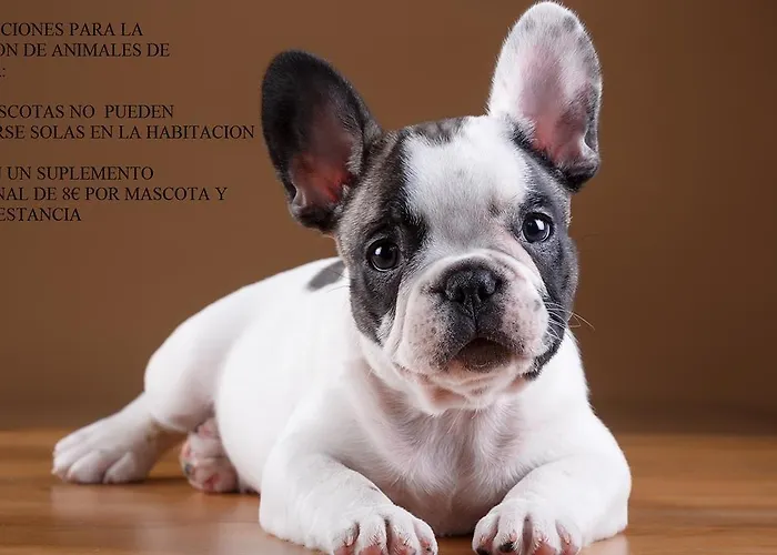 La Flor De Al-andalus * メリダ